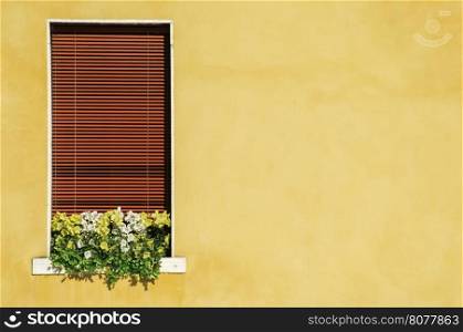 Venetian window with yellow flowers. Oragne color wall