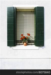 Venetian windows with flowers. Green window on white wall