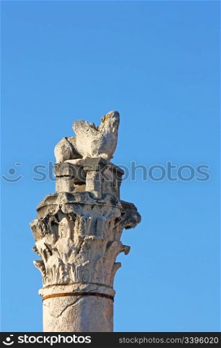 Venice lion on top of the column in Zadar
