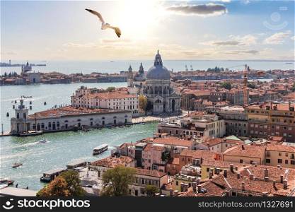 Venice panorama, Santa Maria della Salute from the Campanile, Italy.