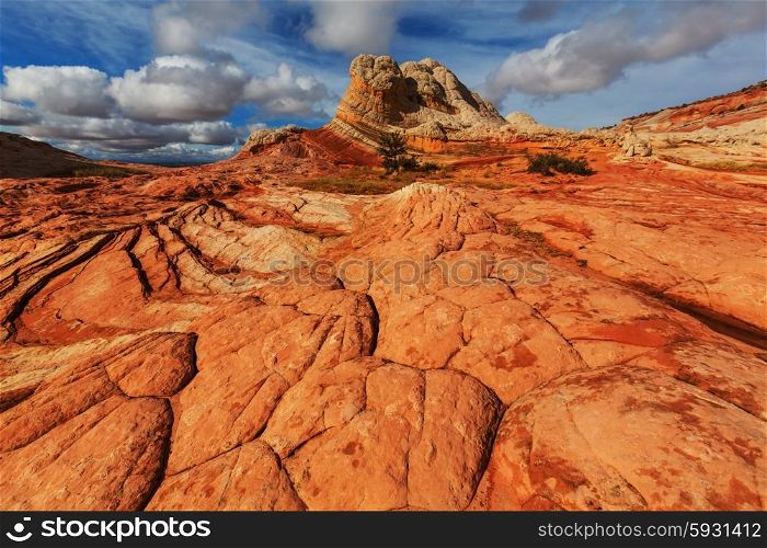 Vermilion Cliffs National Monument Landscapes