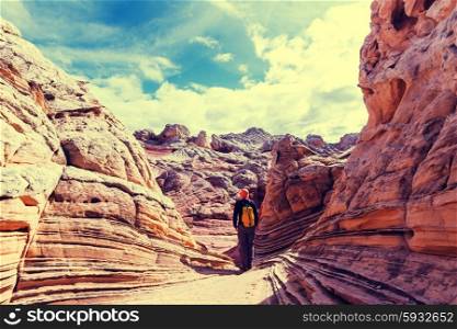 Vermilion Cliffs National Monument Landscapes