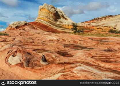 Vermillion Cliffs National Monument Landscapes