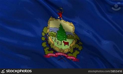 Vermont Bundesstaat Flagge Endlosschleife