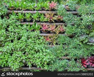 Vertical assortment vegetable garden