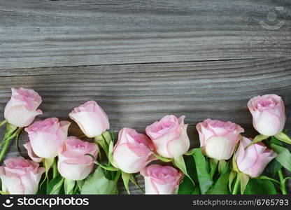 Vertical border of pink roses on a old gray boards