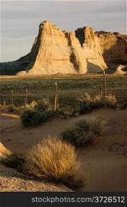 Vertical composition desert southwest landscape sandstone rock foramtion