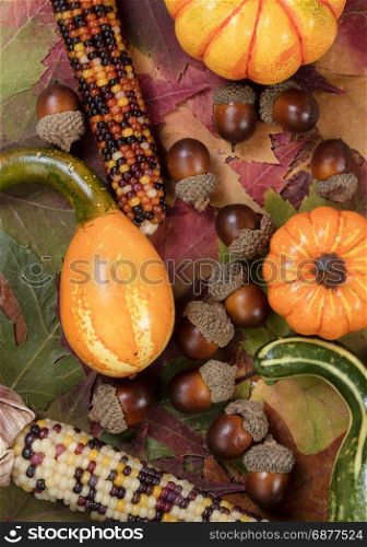 Vertical filled frame of Autumn foliage with gourds, corns and acorns for Thanksgiving and fall background
