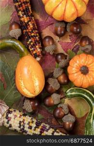 Vertical filled frame of Autumn foliage with gourds, corns and acorns for Thanksgiving and fall background