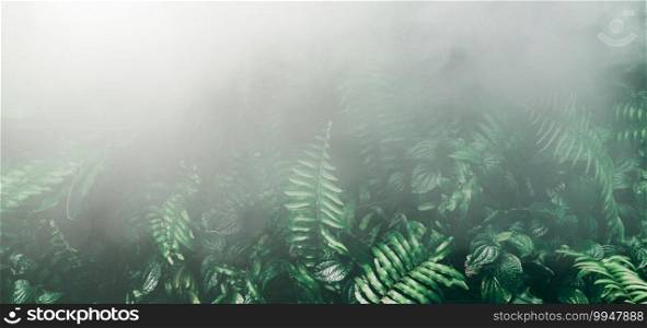 Vertical garden with tropical green leaf with fog and rain, Dark tone 