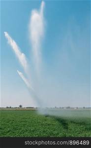 Vertical image of agricultural sprinkler system.. Vertical image of agricultural sprinkler system, captured in Italy