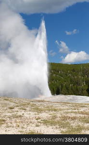 Vertical image of Old Faithful Geyser erupting at full steam with blue sky and clouds in background