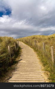 Vertical landscape of a sandy and wooden footpath leading through gentle sand dunes with grasses and reeds to the beach