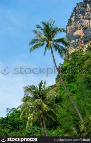 vertical landscape of tropical palm trees and sheer cliff. Thailand