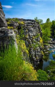 Vertical photo of high cliff on river grown with flowers and grass