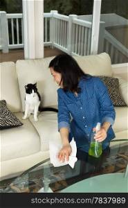Vertical photo of mature woman looking at her cat while holding spray bottle and paper towels in hand with glass table in front and sofa and windows in background
