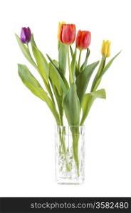 Vertical photo of tulip flowers in glass vase isolated on white background