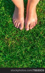 Vertical picture of female legs on a green lawn