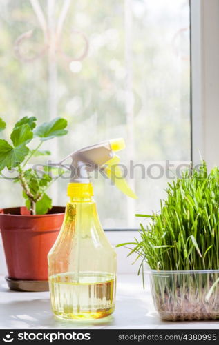 vertical shot - grass in container and yellow sprayer on the windowsill closeup indoors