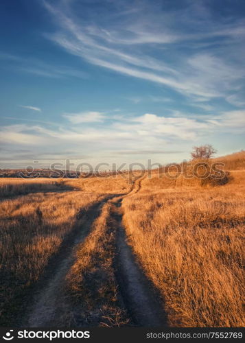 Vertical shot, late autumn scene with a dirt road crossing a dry grass field. Idyllic rural landscape, fall season mood, country track pathway across a hay meadow, peaceful view.