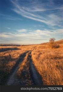 Vertical shot, late autumn scene with a dirt road crossing a dry grass field. Idyllic rural landscape, fall season mood, country track pathway across a hay meadow, peaceful view.