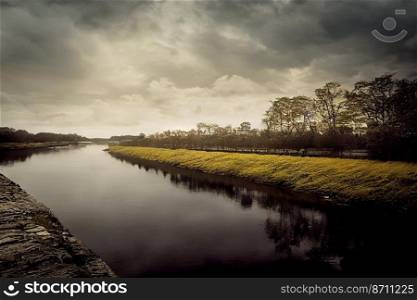 Vertical shot of a untouched river with beautiful nature 3d illustrated