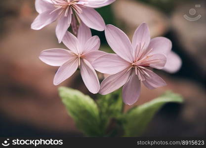 Vertical shot of beautiful bloomed flowers