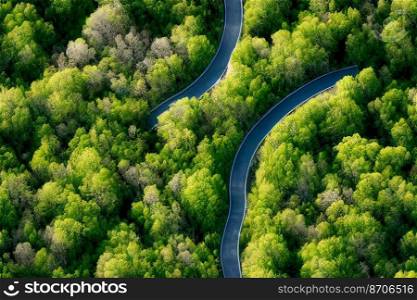 vertical shot of Forest with a road that goes nowhere seamless textile pattern 3d illustrated