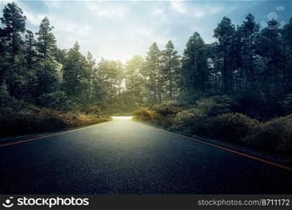Vertical shot of forest with road at sun rise 3d illustrated