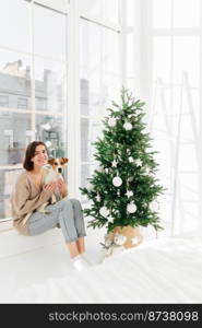 Vertical shot of positive woman poses with jack russell terrier dog, dressed in casual domestic clothes, pose together in bedroom with decorated New Year tree, anticipate for holiday. Winter time