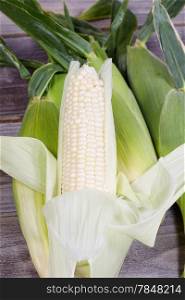 Vertical view of white sweet corn peeled back from stalk with wholel corn in background on top of rustic wood