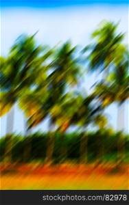 Vertical vivid motion blur palm trees abstraction background backdrop. Vertical vivid motion blur palm trees abstraction background bac