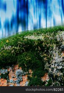 Vertical vivid vibrant moss abstract composition