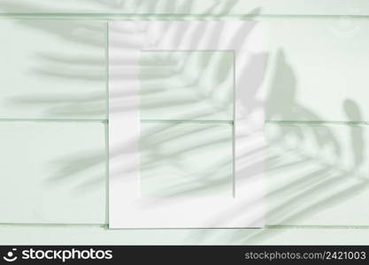 vertical white frame with leaf shadow