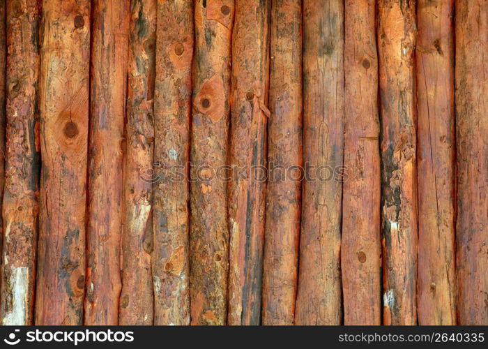 Vertical wood trunks wall texture in orange color