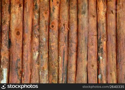 Vertical wood trunks wall texture in orange color