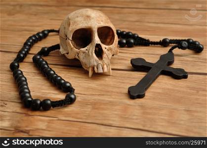 Vervet monkey skull with rosary beads