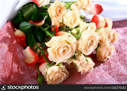 Very beautiful flowers gentle well smells card rose