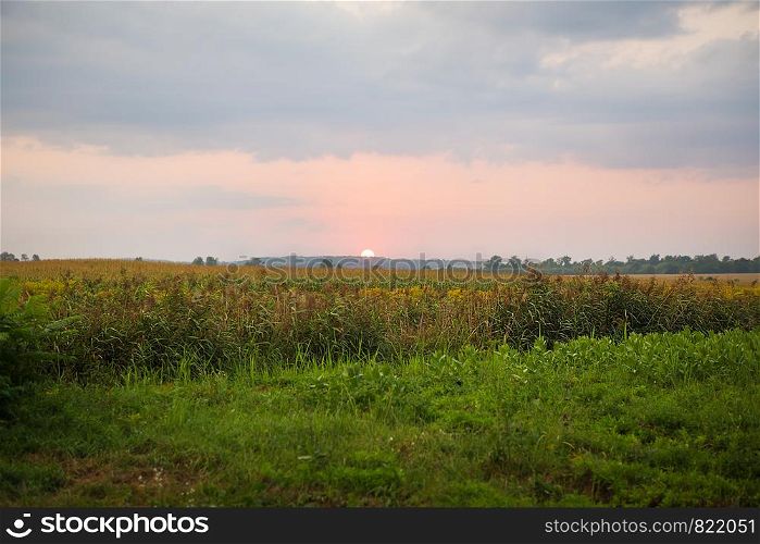 very beautiful sunset over an agricultural green field. very beautiful sunset over an agricultural green field.