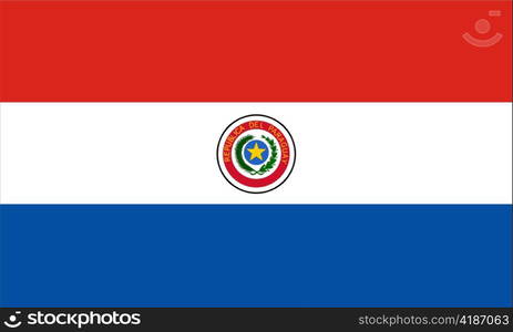 very big size illustration country flag of Paraguay