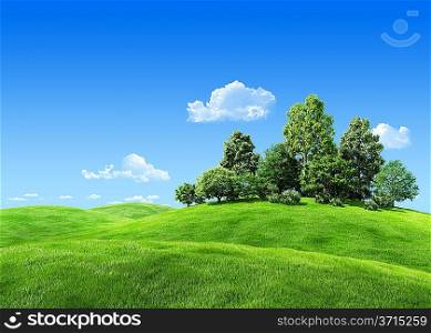 Very detailed 7000px trees on hill - nature collection