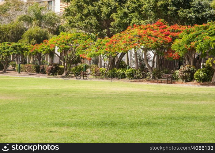 very large garden on the island of La Gomera in the Canary Islands