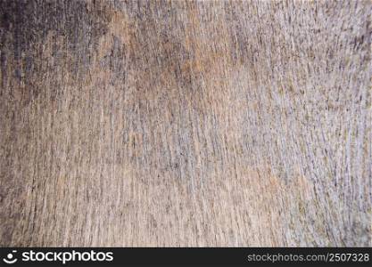 Very old dark wooden texture, can be used as a background.. Old background - texture