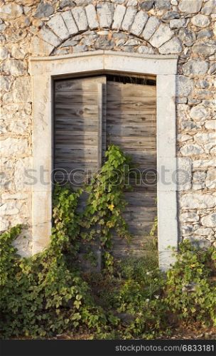 very old doors in ancient greek stone building overgrown by ivy in sunshine