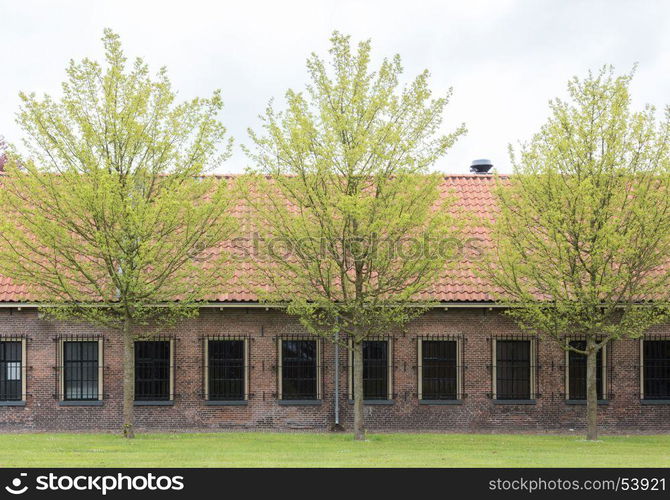 Very old red roof on dutch style house