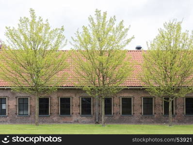 Very old red roof on dutch style house