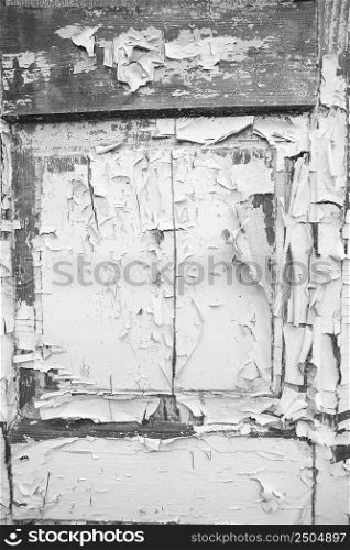Very old wooden door with cracked paint, black and white.. Old background - texture