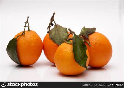very sweet and juicy orange with leaf
