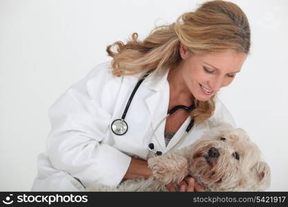 Vet and dog