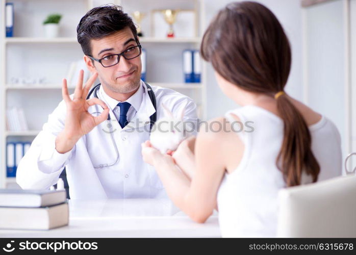 Vet doctor examining pet rabbit in clinic